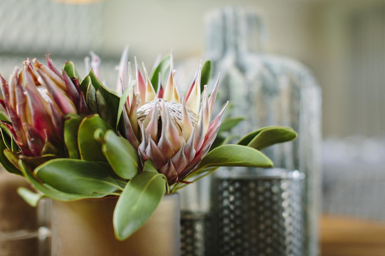 The Thatch House Boutique Hotel, Hermanus Exteriör bild